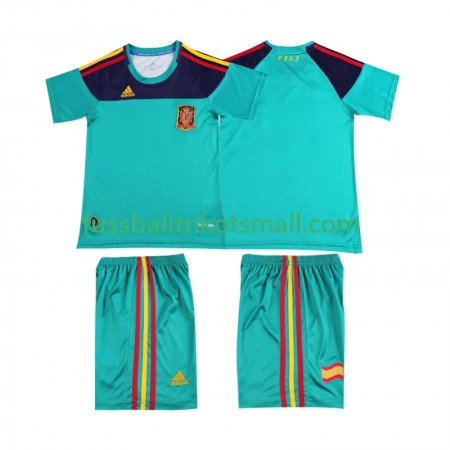 Fußballtrikots Spanien 2010 Torwart Retro Kinder Kurzarm Heimtrikotsatz kaufen